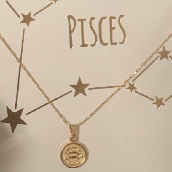Tiny Zodiac Coin Necklace - Picture 10 of 11